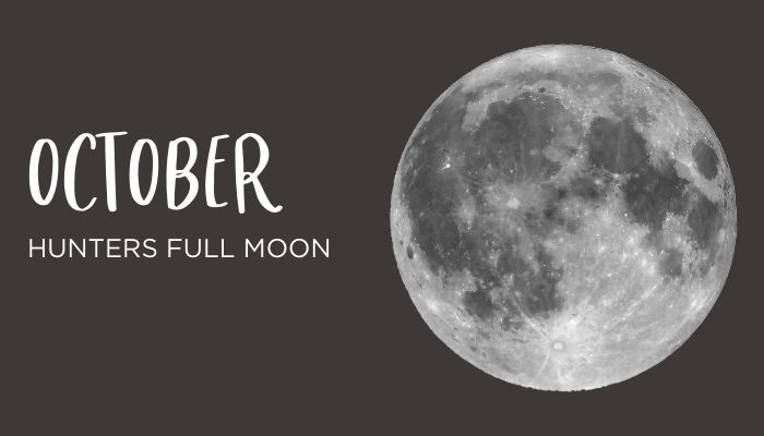 Phases of the moon cycle